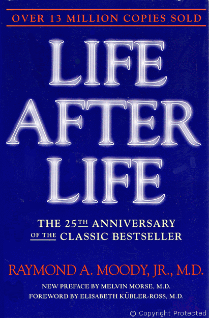 Life after Life front book cover.